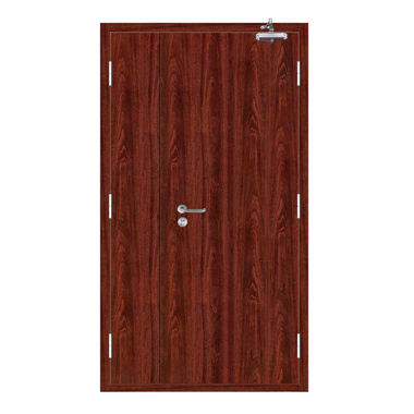 Steel wooden fire door